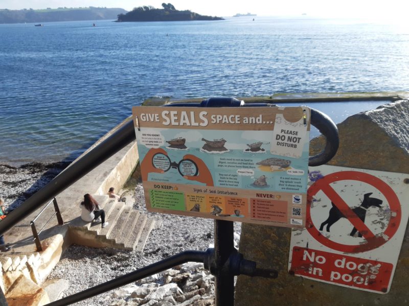 The public are strongly advised to not go near or to interact with seals 