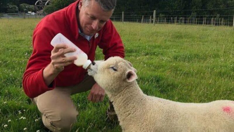 Luke feeding a lamb with a bottle
